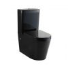 black back to wall toilet