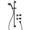 lillian black shower set