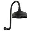 Lillian Black Gooseneck Shower Set