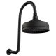 Lillian Black Gooseneck Shower Set