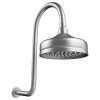 Lillian Brushed Nickel Gooseneck Shower Set