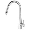 Emma Chrome Deluxe Pull out Gooseneck Sink Mixer