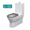 Delta Back To Wall Care Toilet