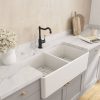 Novi Double Matte White Butler Sink