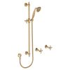 Lillian Urban Brass Shower Set