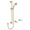 Lillian Lever Urban Brass Shower Set