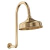 Lillian Urban Brass Gooseneck Shower Set